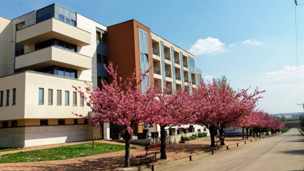Gunaras Resort Spa - Gunarasfürdő